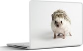 Laptop sticker - 10.1 inch - Kleine egel voor witte achtergrond - 25x18cm - Laptopstickers - Laptop skin - Cover