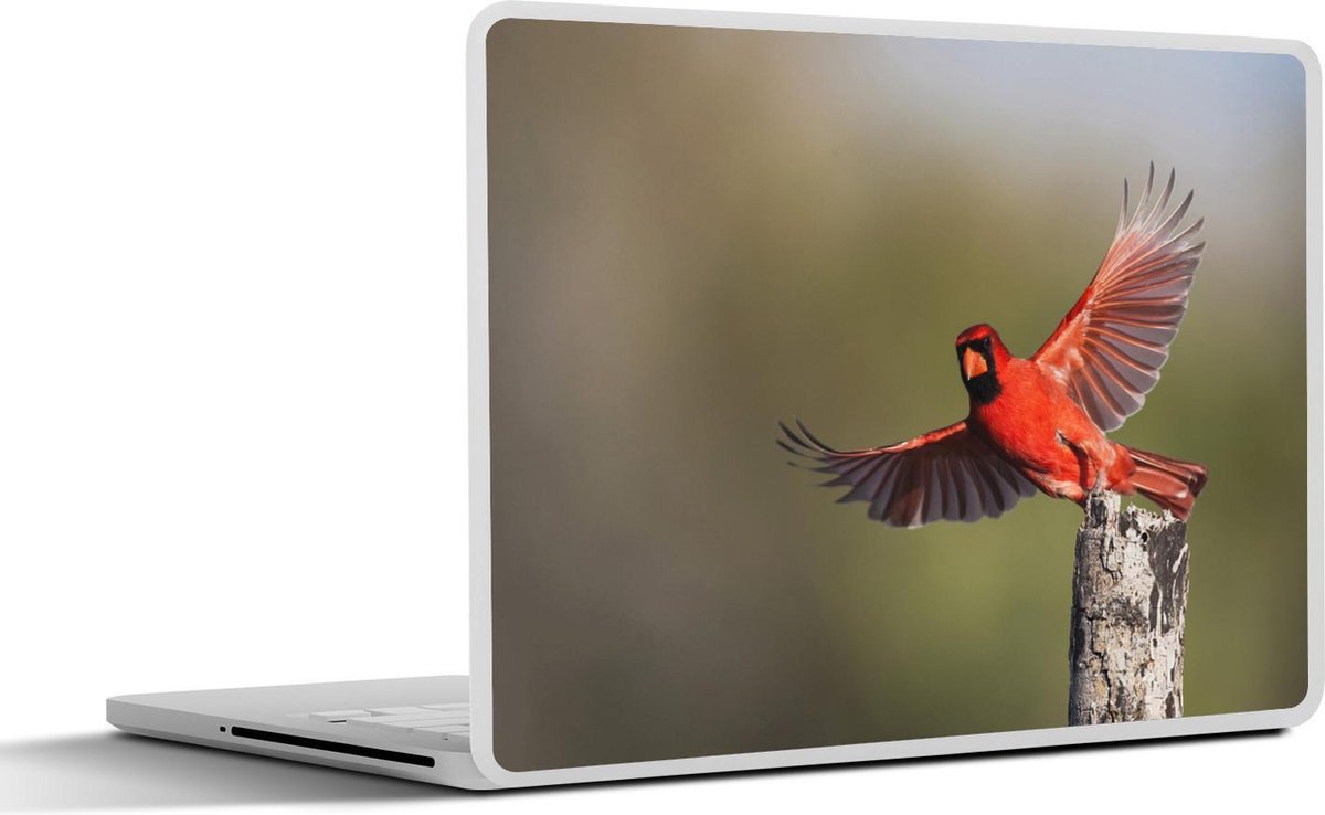 Afbeelding van product SleevesAndCases  Laptop sticker - 11.6 inch - Een wegvliegende rode kardinaal