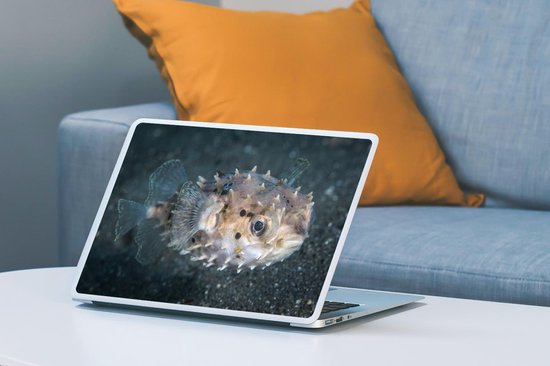 Sticker ordinateur portable - 14 pouces - Petit poisson globe