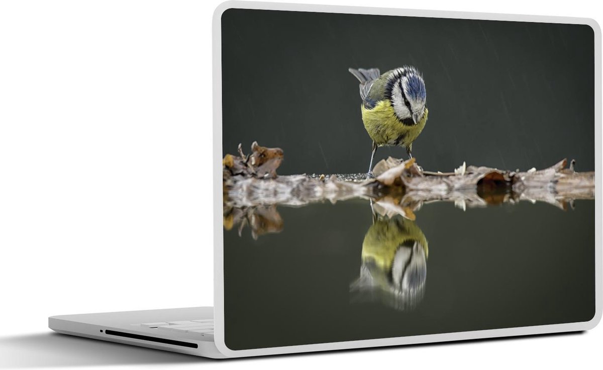 Laptop sticker - 11.6 inch - Vogel - Water - Reflectie - 30x21cm - Laptopstickers - Laptop skin - Cover