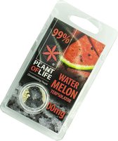 Plant of life terpsolator 99% watermelon 100mg.