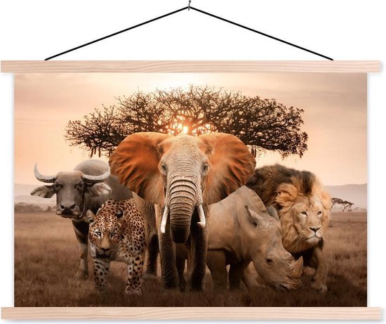 Porte-affiche avec affiche - Affiche scolaire - Animaux - Éléphant - Lion - 150x100 cm - lattes vierges