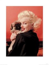 Pyramid Marilyn Monroe Love Kunstdruk 60x80cm Poster - 60x80cm