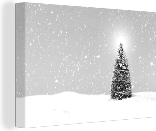 Een kerstboom in een besneeuwd landschap en een e hemel - zwart wit