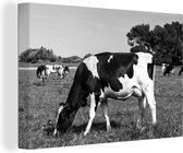 Canvas Schilderij Friese koeien grazen in het veld - zwart wit - 120x80 cm - Wanddecoratie
