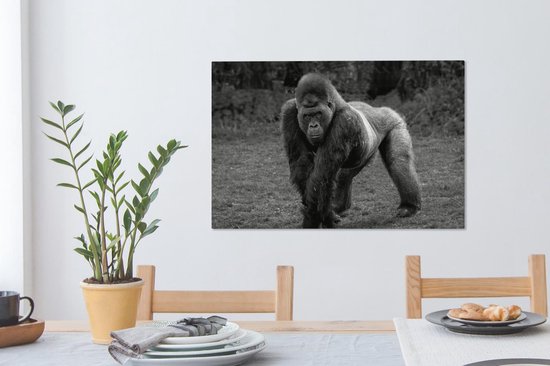 Tableau sur toile Un Gorilla marche sur ses mains et ses jambes - noir et blanc - 60x40 cm - Décoration murale