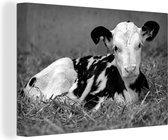 Canvas schilderij 180x120 cm - Wanddecoratie Schattig kalfje van een Friese koe ligt in het stro - zwart wit - Muurdecoratie woonkamer - Slaapkamer decoratie - Kamer accessoires - Schilderijen