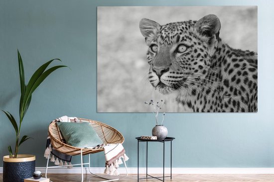 Tableau Tableau Portrait photo léopard - noir et blanc - 150x100 cm - Décoration murale