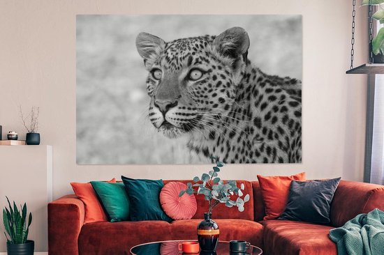 Tableau Tableau Portrait photo léopard - noir et blanc - 150x100 cm - Décoration murale