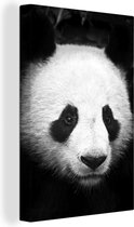 Canvas Schilderij Close-up van een panda - zwart wit - 80x120 cm - Wanddecoratie