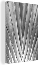 Canvas Schilderij Abstracte close-up van een palmboom - zwart wit - 80x120 cm - Wanddecoratie