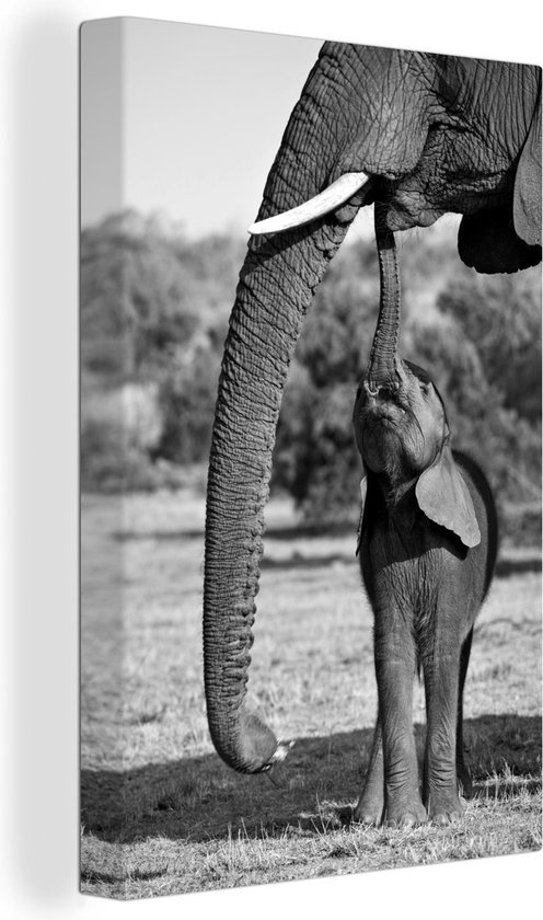 Canvas Schilderij Baby olifant communiceert met moeder - zwart wit - 20x30 cm - Wanddecoratie