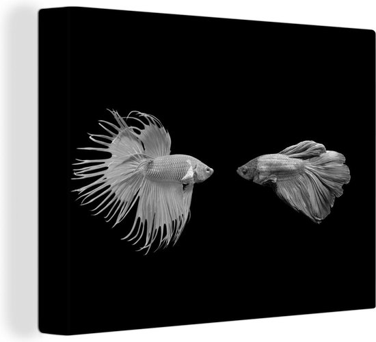 Canvas Schilderij Twee Siamese vissen vechtend op een zwarte achtergrond - zwart wit - 120x90 cm - Wanddecoratie