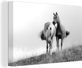 Canvas Schilderij Haflinger paarden in het weiland - zwart wit - 30x20 cm - Wanddecoratie