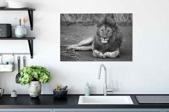 Tableau sur toile Lion couché en Afrique - noir et blanc - 60x40 cm - Décoration murale