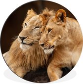 WallCircle - Cercle Mural - Cercle Mural - Lion - Câlin - Pierres - Aluminium - Dibond - 120x120 cm - Intérieur et Extérieur XXL