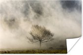 Poster Eenvoudige boom in de mist - 120x80 cm
