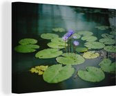 Canvas Schilderij Bloemen - Bladeren - Meer - 90x60 cm - Wanddecoratie