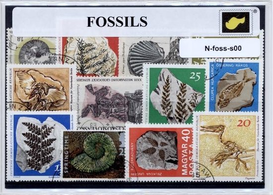 Foto: Fossielen luxe postzegel pakket a6 formaat collectie van verschillende postzegels van fossielen kan als ansichtkaart in een a6 envelop authentiek cadeau kado geschenk kaart archeologie opgravingen geraamtes skeletten dieren