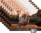 Placemat - Placemats kunststof - Scharrelende kippen in zacht licht - 45x30 cm - 6 stuks - Hittebestendig - Anti-Slip - Onderlegger - Afneembaar