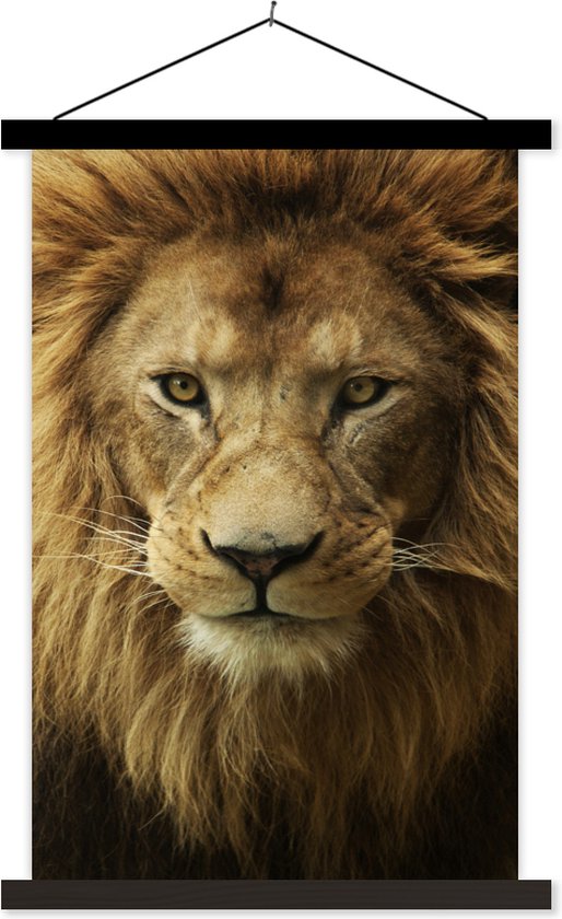 Portrait photo Lion d'Afrique affiche textielposter lattes noires 60x90 cm - Tirage photo sur plaque école (décoration murale salon / chambre)