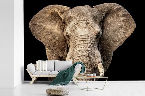 Papier peint - Papiers Papier peint photo Éléphant - Portrait - Zwart - Largeur 390 cm x Hauteur 260 cm