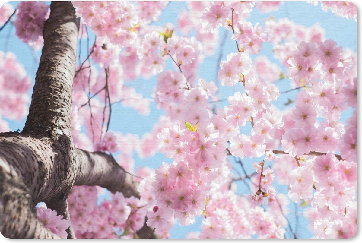 Muismat 27x18 cm - Mousepad Bloemen - Sakura - Boom - Muismatten