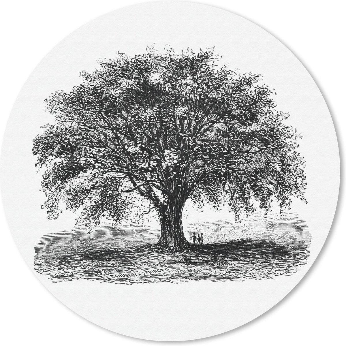 Muismat rond 20x20 cm - Mousepad Vintage - Boom - Natuur - Ronde muismatten