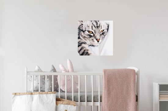 Stickers muraux - Film autocollant - Chats - Yeux - Macro - 40x30 cm - Film adhésif - Stickers muraux Chambre d'enfants - Papier peint autocollant