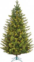 Black Box Trees - Dunville kerstboom led groen 432L TIPS 3117 - h215xd135cm- Kerstbomen