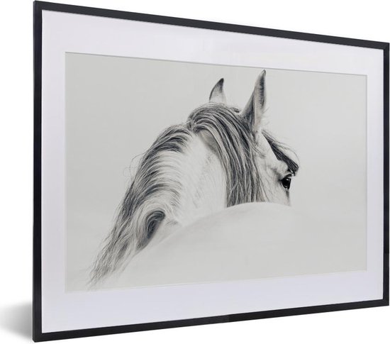 Affiche avec cadre Cheval - Wit - Animal - 40x30 cm