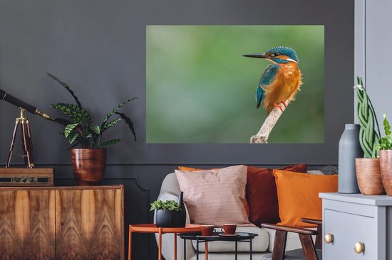 Stickers muraux - Film autocollant - Martin-pêcheur - Branches - Proie - 120x80 cm - Film adhésif - Stickers muraux Chambre d'enfant - Papier peint autocollant