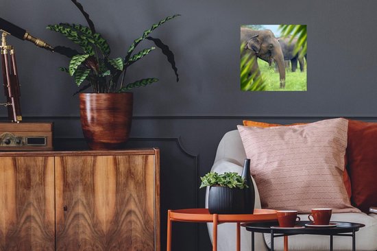 Stickers muraux - Film autocollant - Éléphant - Palmier - Animaux - 30x30 cm - Film adhésif - Stickers muraux chambre enfant - Papier peint autocollant - Papier peint autocollant - Film autocollant