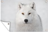 Muurdecoratie Wolf - Wit - Sneeuw - 180x120 cm - Tuinposter - Tuindoek - Buitenposter