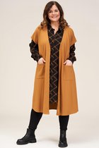 Gozzip blouse Hanne lang ruit
