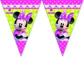 vlaggenlijn Minnie Mouse junior 2 m lichtgroen/roze