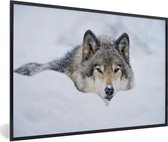 Fotolijst incl. Poster - Wolf - Sneeuw - Vacht - 30x20 cm - Posterlijst