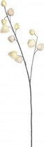 decoratietak lamionplant 94 cm cr√®me