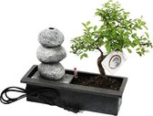 Bonsai Zelkova in waterval pot
