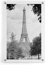 Walljar - Eiffel Tower '37 - Muurdecoratie - Plexiglas schilderij