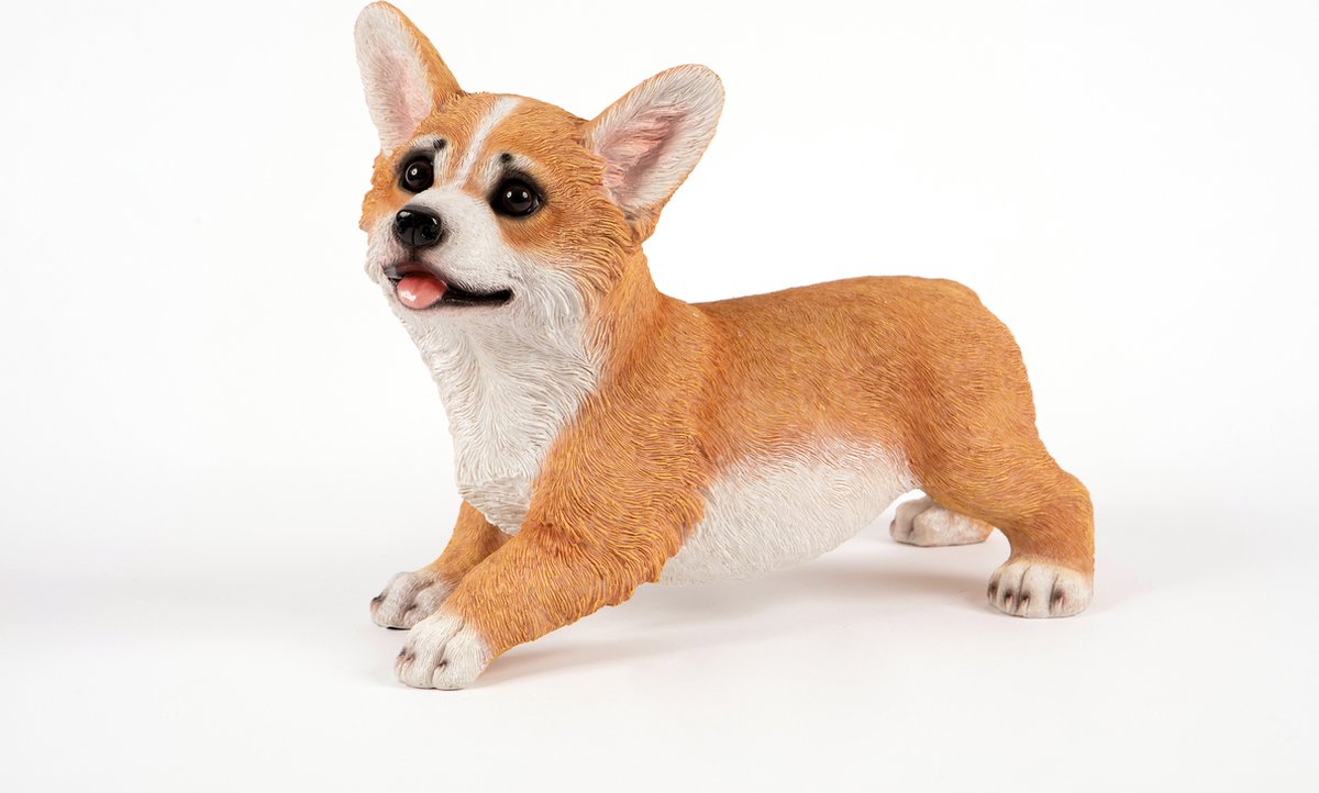 staande  Corgi