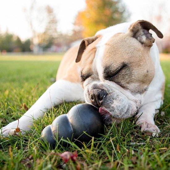 Kong Extreme - Jouet pour chien - Noir - XL