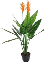 Decoratieve plant DKD Home Decor Groen PVC (70 x 70 x 120 cm)