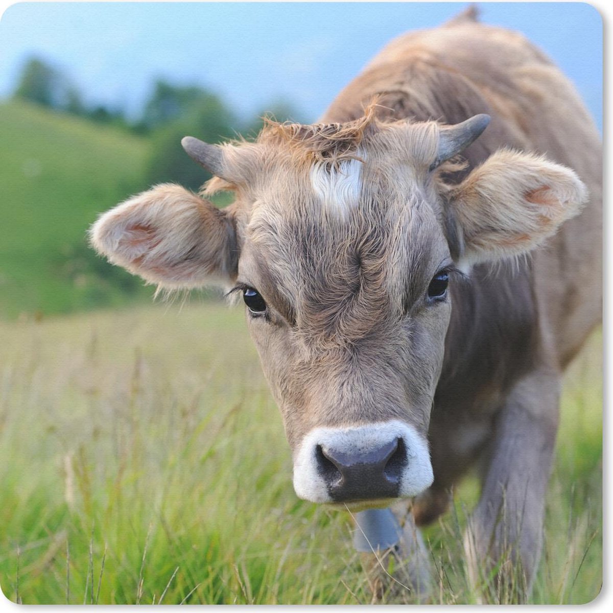 Muismat 30x30 cm - Mousepad Koe - Dieren - Bruin - Gras - Muismatten