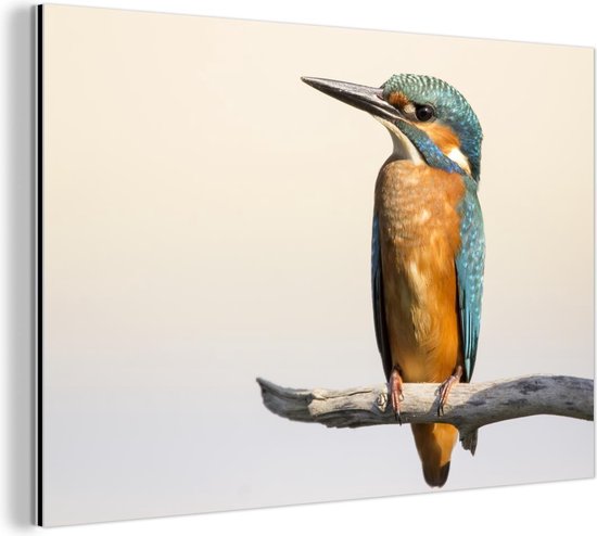 Wanddecoratie Metaal - Aluminium Schilderij Industrieel - IJsvogel - Takken - Dieren - 90x60 cm - Dibond - Foto op aluminium - Industriële muurdecoratie - Voor de woonkamer/slaapkamer