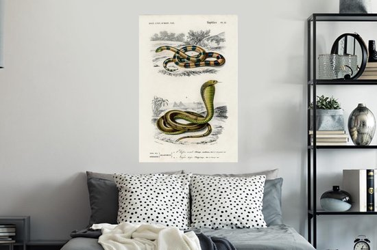 Stickers muraux - Film autocollant - Serpent - Vintage - Reptiles - 60x90 cm - Film adhésif - Stickers muraux Chambre d'enfant - Papier peint autocollant