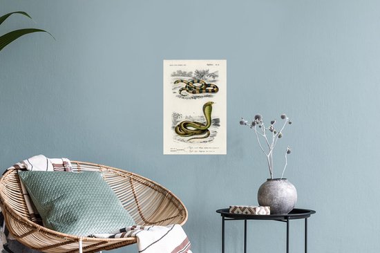 Stickers Stickers muraux - Serpent - Vintage - Reptiles - 20x30 cm - Feuille adhésive