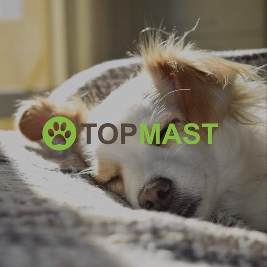 Topmast Vetbedden, 2 Stuks, Antislip Hondenmat, Crème Effen, Machinewasbaar, Hondenbed voor Honden en Puppy's, Benchmat (75 x 50 cm