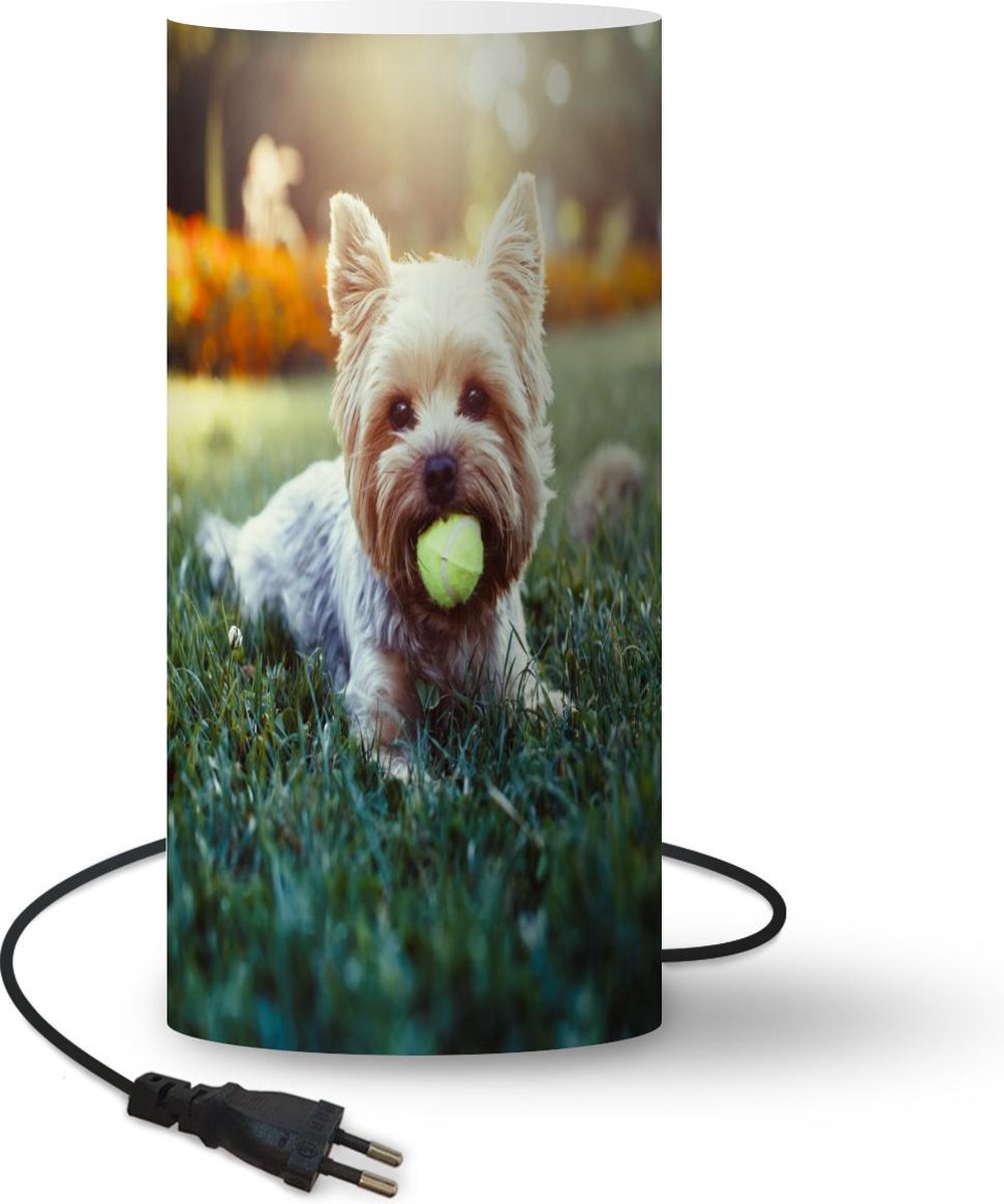 Lamp - Nachtlampje - Tafellamp slaapkamer - Yorkshire Terrier ligt op het gras met een tennisbal in zijn mond - 54 cm hoog - Ø24.8 cm - Inclusief LED lamp