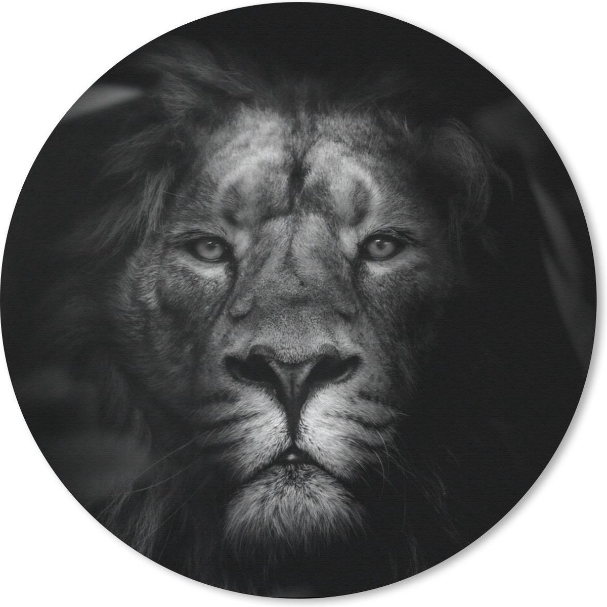 Muismat - Mousepad - Rond - Dieren - Leeuw - Wilde dieren - Zwart - Wit - 40x40 cm - Ronde muismat